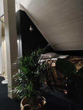 Apartament Lipowa 3